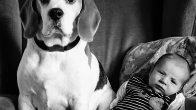 Бігль та малюк: неймовірний фотопроект, який надихає