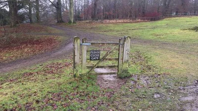 Ці смішні диваки не знають слова "логіка"