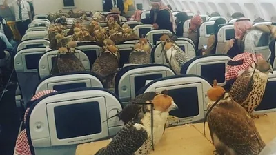 Саудівський шейх викупив усі місця в літаку для своїх соколів