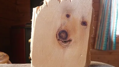 Мережа в захваті від дерев'яної дошки, яка схожа на собаку