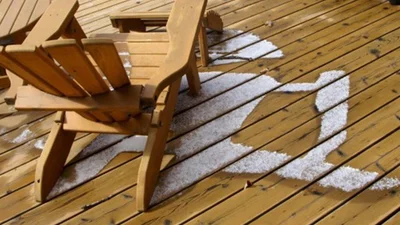 16 фото для тих, кому набридла вся ця зима