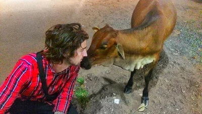 Вова Дантес і тваринки: надто мило, щоб не подивитись