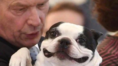 Собака президента Фінляндії підірвала мережу шаленою посмішкою 