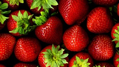 13 цікавих фактів, в які важко повірити з першого разу