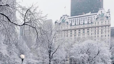 Зимова казка: Нью-Йорк засипало снігом і це просто неймовірно