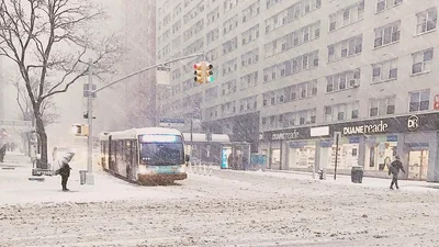Неочікувана зима: Нью-Йорк засипало снігом і це вражає
