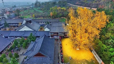 Казково: 20 ідеальних кадрів, на яких нема фотошопу