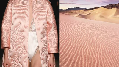 15 крутих доказів, що дизайнери беруть натхнення з природи