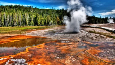 Захоплююче видовище: в мережі показали фото Єллоустоуну - найпопулярнішого парку Америки