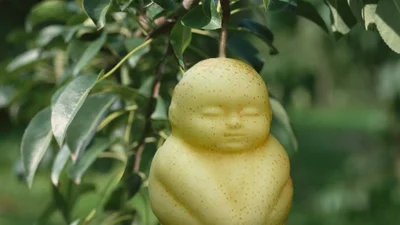 Розкіш для багатіїв: 10 рідкісних фруктів, які коштують неймовірно дорого