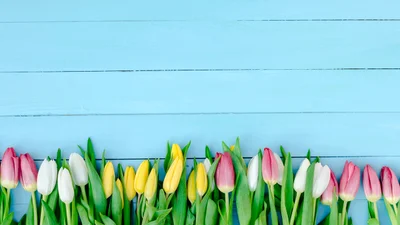 10 крутих речей, які треба встигнути зробити в березні 2017