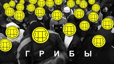 Звідки виросли «Грибы»: все, що треба знати про гурт