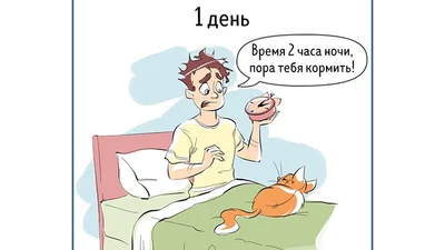 Веселі докази того, що ми змінюємо своє ставлення до будь-яких речей за якихось 100 днів