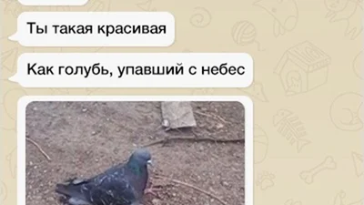 15 смс від геніальних чоловіків, які повеселять тебе до сліз