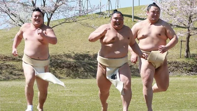 Навіть ці брутальні сумоїсти мають фотосесію з сакурами