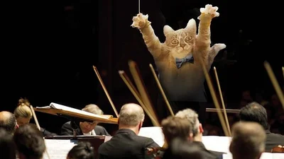 Невинний котик випадково став жертвою Фотошопу і дуже розсмішив світ