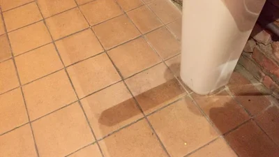 Вульгарщина: ці фото доводять, що ти дуже зіпсута людина