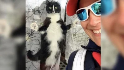 Шалена кішка зненавиділа поштарку і щодня кидається на неї