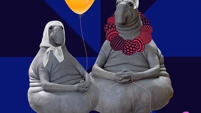 Найкращі меми про Євробачення, які розсмішили мережу