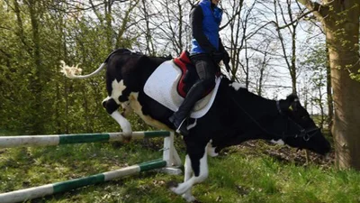 Школярка на їздовій корові підкорила мережу