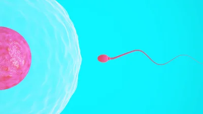 Неочікувано: вчені відкрили надзвичайні можливості сперматозоїдів