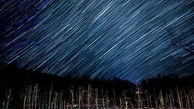 Магія природи: National Geographic показав захоплюючі кадри з фотоконкурсу