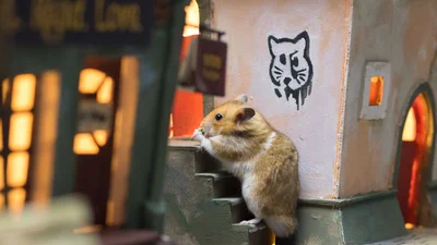 Фантастична ідея: створили справжнє міні-місто для хом'ячків