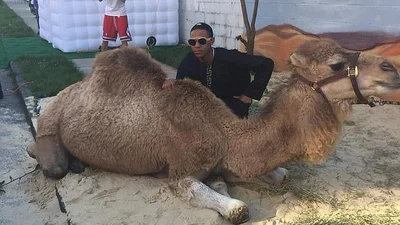 Лакшері: мама влаштувала сину випускний в арабському стилі за 25 тисяч доларів