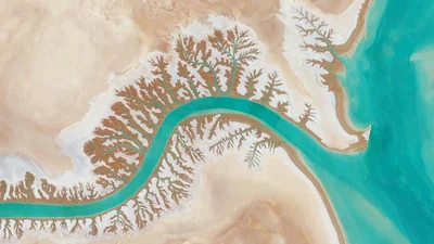 Ці фото, зроблені з космосу, змусять вас відчути себе комашкою