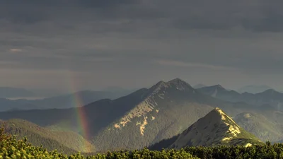 Туристу вдалось сфотографувати загадкове явище у Карпатах