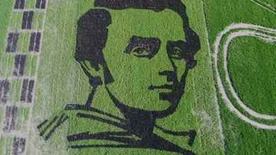 На херсонському полі з рису виростили гігантський портрет Шевченка