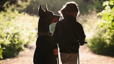Удивительная дружба маленькой девочки и огромной собаки - это самое милое, что вы видели