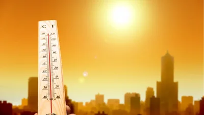 Как спастись от жары: топ полезных советов
