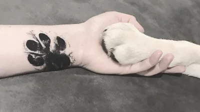 Тату с лапами любимцев: новый тренд, который умиляет до слез