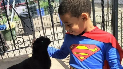 Хоробре серце: 5-річний хлопчик у костюмах супергероїв рятує вуличних котів
