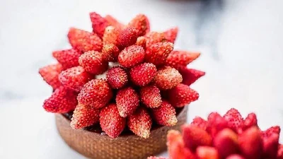 Талантливый кондитер поразил мир фантастическими десертами