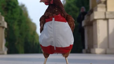 Штани, які нагадують курячі гомілки, зведуть тебе з розуму