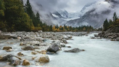 Найкращі фото природи 2017: National Geographic показав фантастичні знімки