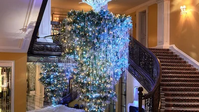 ТОП-10 удивительных елок со всего мира и вот, как они выглядят