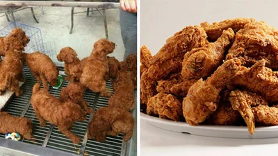 Вы не ошиблись, эти вещи действительно выглядят, как еда