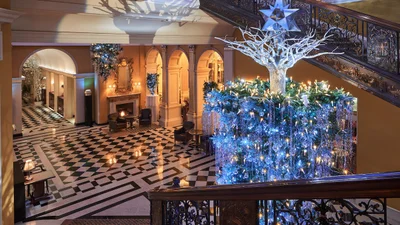 Эта елка стала самым красивым рождественским деревом года