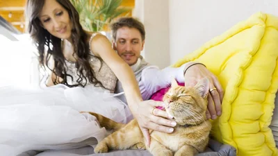 Смешные доказательства, что кошки - главные звезды любой свадьбы