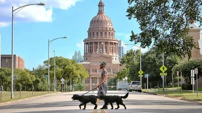 Мандрівник врятував двох цуциків і їхні фото з подорожей розчулять кожного