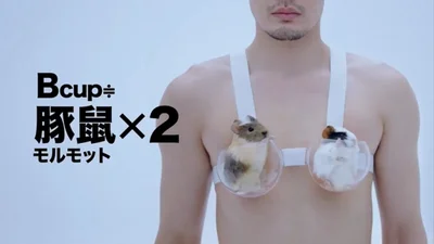 Японский рекламный трэш: мужчины в лифчиках, животные вместо груди