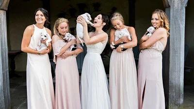 Букеты из щенков - новый свадебный тренд, который умилит вас до слез