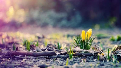 Выходные в марте 2018 в Украине: сколько дней будем отдыхать на 8 марта