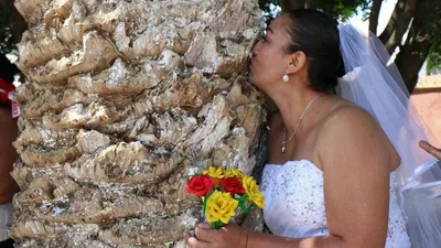 Мексиканки устроили протест и вышли замуж за деревья: фото свадебной церемонии