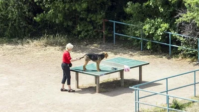 Фотограф 5 лет снимал стол для пинг-понга: на нем делали все, кроме игры в теннис