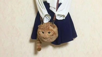 Если у вас есть лишние 700 долларов, можете купить эту странную сумку в виде кота