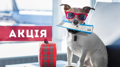 Італійський Люкс вікенд: реєструйся та вигравай квитки до Італії!